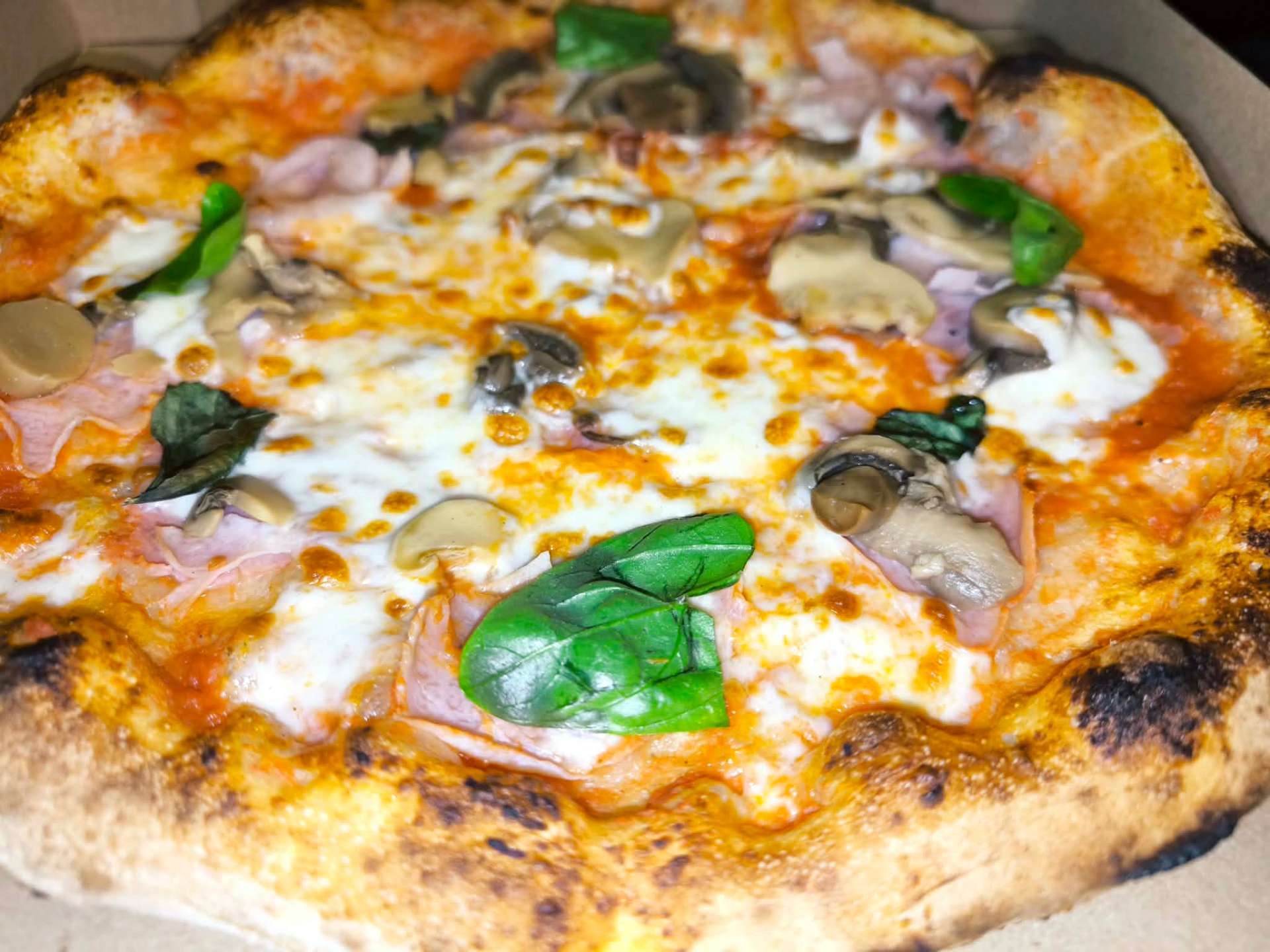 Sonkás-gombás pizza friss bazsalikommal